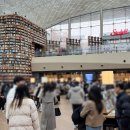 코엑스 스타벅스 코엑스 별마당점 내돈내산 후기