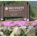 청태산자연휴양림 이미지