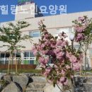 힐링노인요양원