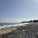 모화치킨 | 경주 감포읍 드라이브 가볼만한 곳 추천 글램핑 캠핑 가능한 오류해수욕장