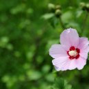 화명생태공원(화명운동장 내) 이미지