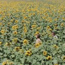 황제다방 - 포천시 포천로 1604 | 황제다방
