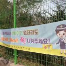 신탄진용정초등학교 이미지