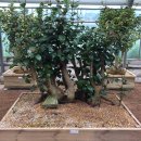 김태근농장 이미지