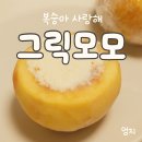 모모마트 이미지