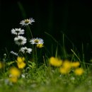 화신로260번길 이미지