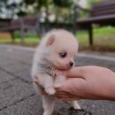 은평-050 이미지