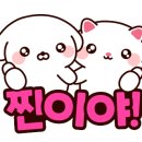 타로 실전리딩반 이미지