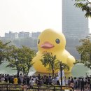 석촌호수로 조선일보