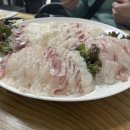 아라활어회