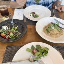 리코(rico) 이미지