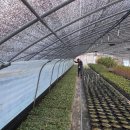 순화농장 이미지