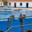 돌고래PC | 리스본 동물원 후기｜아이랑 가기 좋은 포르투갈 여행지, 쇼·케이블카까지