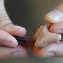 김유미 보청기 전문센터 이미지