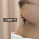 올채뷰티왁싱송산점 | 새솔동 속눈썹펌 올채뷰티왁싱 세심한 터치 단백질펌 속쌍눈 후기