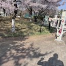 감애주하길(와룡면) | 4월 | 두 명만 팬다 ㅋ 내가 좋아하고 나를 좋아하는 사람만 잔뜩 만나기
