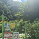 첫물내기야영장 | 강원도 영월 첫물내기캠핑장 계곡 피크닉존 이용 내돈내산 추천 후기