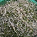 온양온천시장(온양전통시장) 이미지