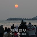 해맞이행사장 이미지