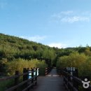 울산종합관광안내소 Daum카페