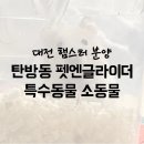 펫엔글라이더 대전점 | 대전 햄스터 분양 - 탄방동 펫엔글라이더 | 소동물 특수동물
