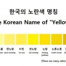 노란색 Daum카페