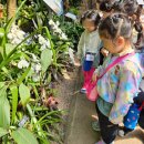 방배천로 24 (2) 이미지