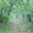 터 펜션 이미지