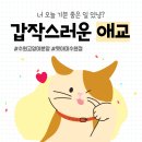 AMI PET 이미지