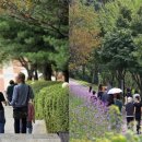 인산의료재단 메트로병원 이미지