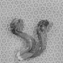 마루종합동물병원 이미지