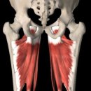 JP PT Studio 이미지