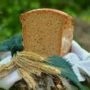 고당축사 이미지