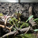 어반네이처 이미지