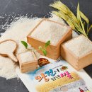 나주시농협쌀조합공동사업법인 이미지