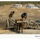 북한 신의주-안주간 도로 공사현장 및 黄海南道 이미지