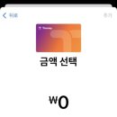 티머니페이_지하철