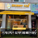 스키니폭스요거트에빠진여우 | 가볼만한곳 신중동 카페 디저트 맛집 스키니폭스 요거트에 빠진 여우 달달하고 맛있는 요거트 아이스크림