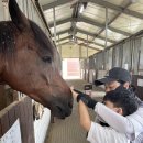 [승마&농장체험]매실청 담그기,마차타기,말 먹이주기,말 타기🐎 이미지