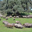 김동선 농장 이미지