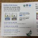 라이프가든 | 양과자 프로틴으로 유명한 "가든오브라이프 유기농 프로틴 초콜릿 맛" 후기