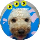 돈우축산 - 부천시 원미구 수도로180번길 21 | 천안 농수산물도매시장 중앙종합축산과 1번지수산 방문