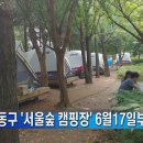 성동 서울숲 여름캠핑장 이미지