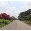 딱정벌레펜션 이미지