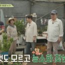 강화꽃직매장
