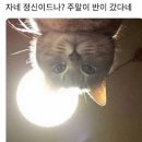 무주 글램핑