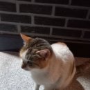 바랄공인중개사사무소 이미지