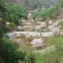 소백산향기나라 이미지