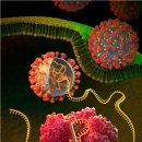 한국유전자연구소 이미지