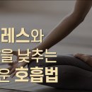 [닥터조] 면역력의 비밀 | 부신기능, 스트레스, 심호흡 이미지